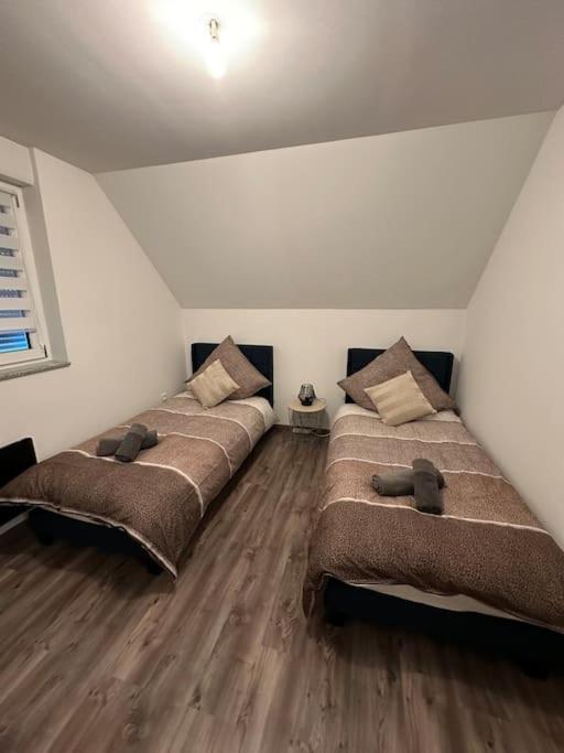 Appartement Algo Algolsheim ภายนอก รูปภาพ