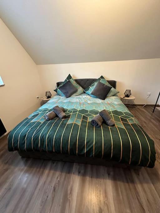 Appartement Algo Algolsheim ภายนอก รูปภาพ